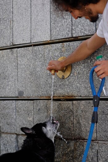 “Hace solo un par de