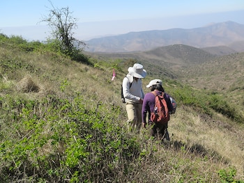El Perú ocupa el cuarto