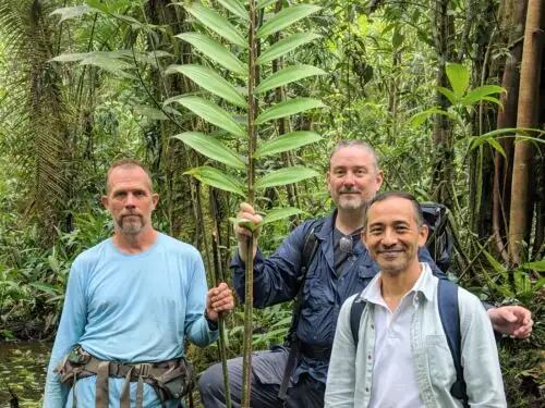 El nombre honra al pueblo indígena Urarina, vinculado al territorio donde se encontraron los ejemplares. Andina