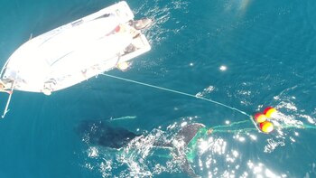 Los rescatistas trabajaron por más