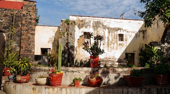 Patio con muros de piedra y estuco, maceteros de barro rojo con cactus y plantas con flores rojas bajo un cielo con nubes.