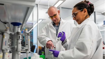 Se realizaron pruebas tanto en