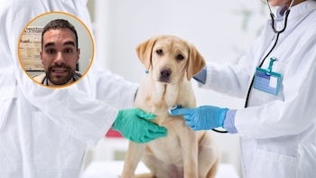 Marcos, estudiante de veterinaria: “Lo