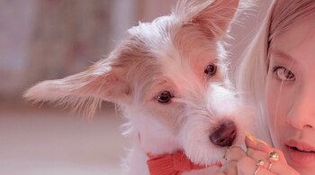 A pesar de las críticas