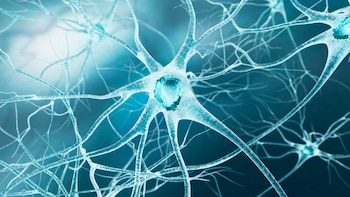 Una representación de una neurona