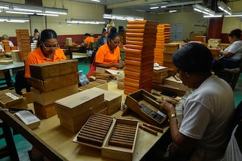 Empleados trabajan en la fábrica de tabaco Corona en La Habana, Cuba, el 27 de febrero de 2025. REUTERS/Norlys Pérez