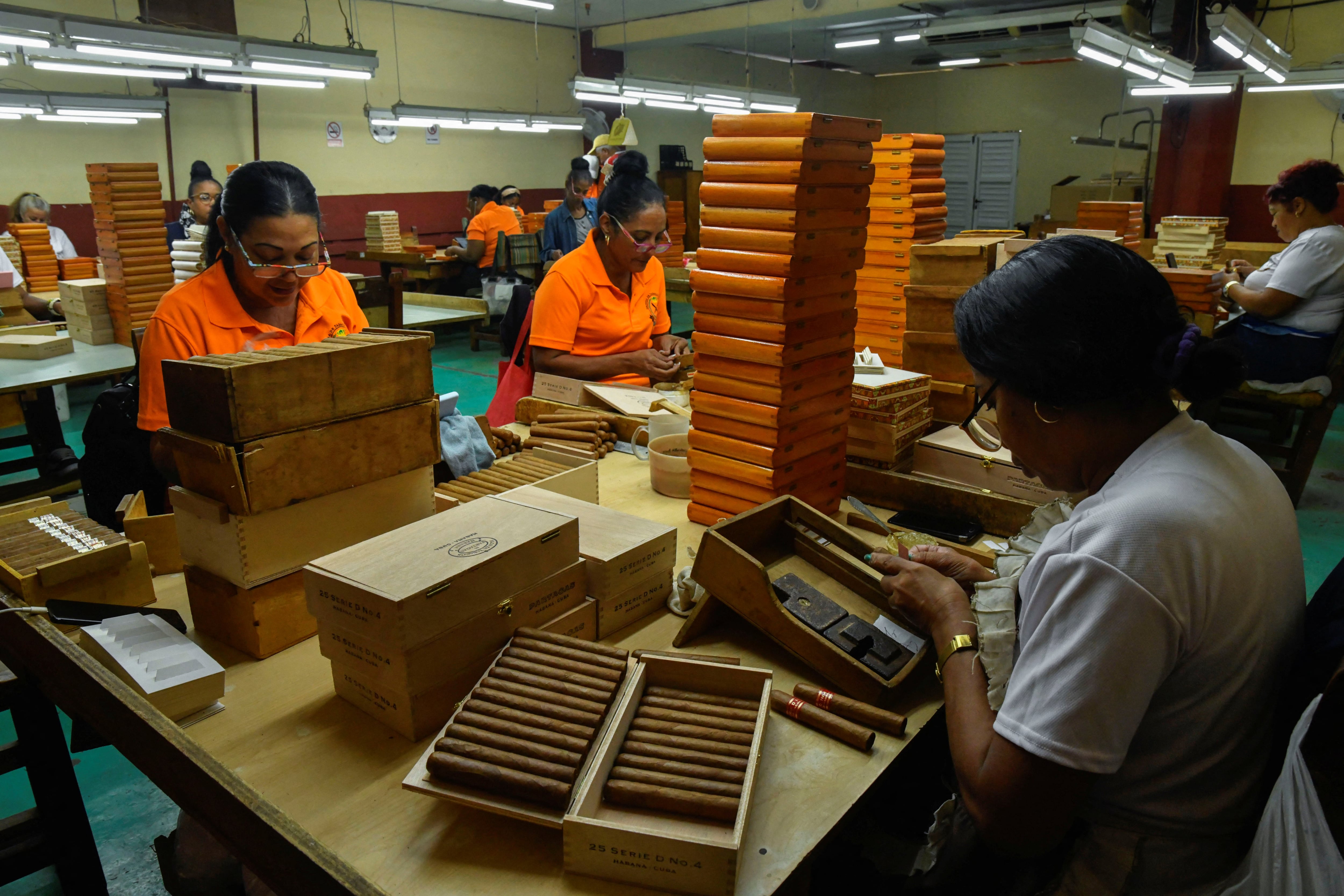 Empleados trabajan en la fábrica de tabaco Corona en La Habana, Cuba, el 27 de febrero de 2025. REUTERS/Norlys Pérez