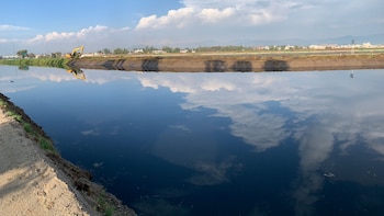 Río Lerma-Santiago, el más largo del país y el más contaminado: ¿se recuperará durante la gestión de Sheinbaum?
