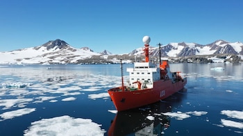 La Antártida busca carpinteros, electricista