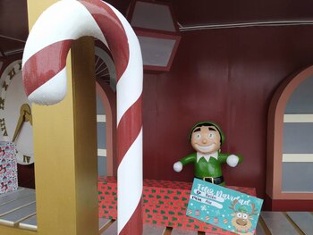 En la Plaza Juárez por