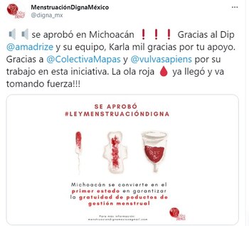 El Movimiento Menstruación Digna celebró
