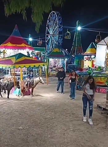 Las imágenes generaron miles de reacciones y reavivaron el debate sobre el bienestar animal en eventos públicos.
