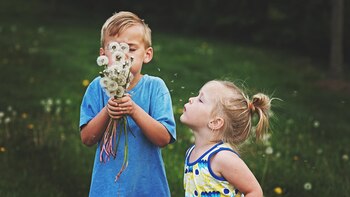 Los pólenes de árboles, gramíneas