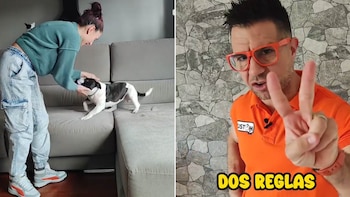 Carlos, educador detrás de @dos_adiestramiento,