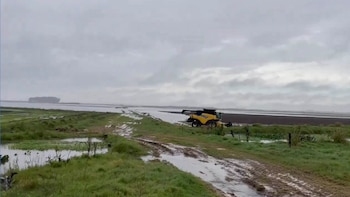Uruguay activa alerta por El Niño: se esperan lluvias que dejarían en un mes la mitad del acumulado de un año