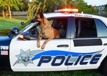 El can fue un miembro