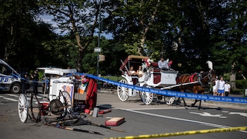 Un joven de 18 años muere al caer de un carruaje en Central Park