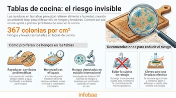 Infografía sobre hongos en tablas de cocina con ilustraciones de tabla rayada, microorganismos bajo lupa, estudio microscópico y consejos de limpieza.