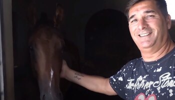 "Desde que la yegua queda