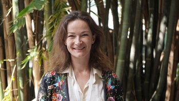 Crear una comunidad de docentes: