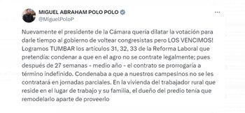 La medida fue festejada por el congresista Miguel Polo Polo, que destacó que se evitó sobrecargar a los empresarios rurales - crédito @MiguelPoloP/X