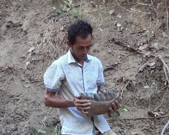 Hallazgos de fósiles animales en el río Tomayate