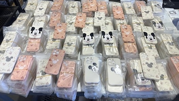 La nueva Aduana realizó un