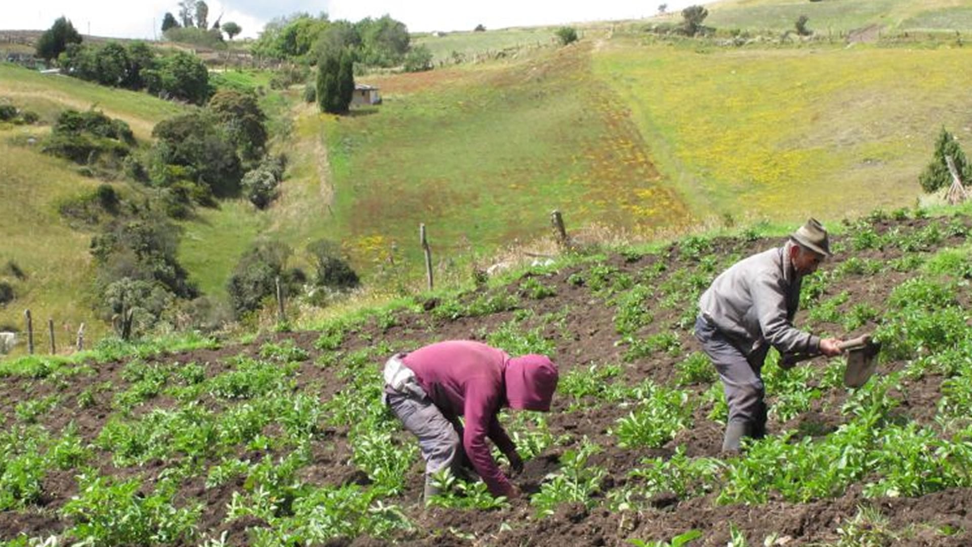 La discusión abordará la derogatoria de las normas sobre las Áreas de Protección para la Producción de Alimentos - crédito Colprensa