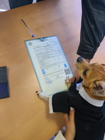 Los dueños explicaron que la