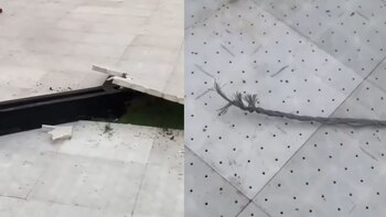 Los daños del concierto alertaron