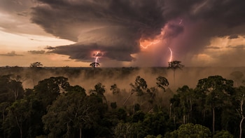 La Amazonía libera carbono más rápido: sequías y tormentas aceleran su emisión a la atmósfera