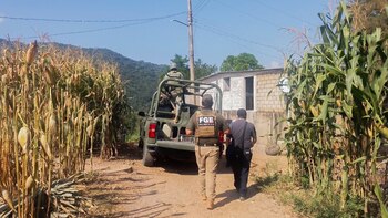 FGE Guerrero búsqueda