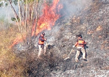 Emergencia ambiental en Áncash: tres