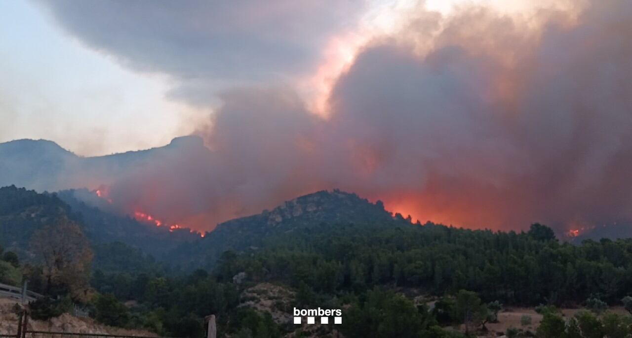 Imagen del incendio forestal de Paüls (Tarragona). (Bomberos de Cataluña)