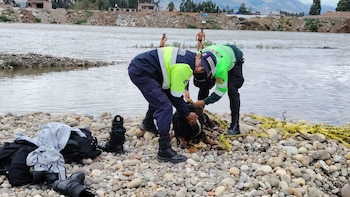 Perro quedó atrapado en islote