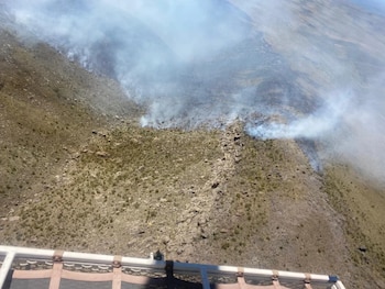 Personal especializado trabajó durante varias