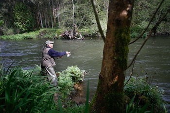 Un hombre durante el comienzo de la campaña de pesca de salmón, en el río Eo, a 13 de abril de 2025, en San Tirso de Abres, Asturias (España). (Carlos Castro/Europa Press)
