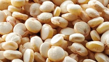 Quinua, kiwicha y cañihua. La