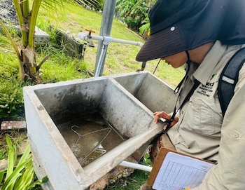 El agua empozada es ideal para la reproducción del mosquito portador del virus. (Mida)