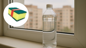 ¿Se puede desinfectar la esponja de la cocina usando vinagre?