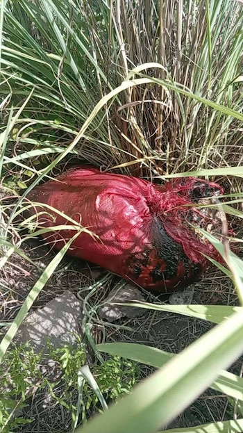 El cuerpo de Olvin Ariel Aguilera fue encontrado desmembrado dentro de un saco abandonado en una zona montañosa de San Antonio de Flores, Choluteca. (Foto: Cortesía)