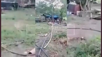 (Foto: Twitter/UnidadDeInteli1)