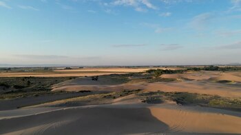 Desierto en las dunas de