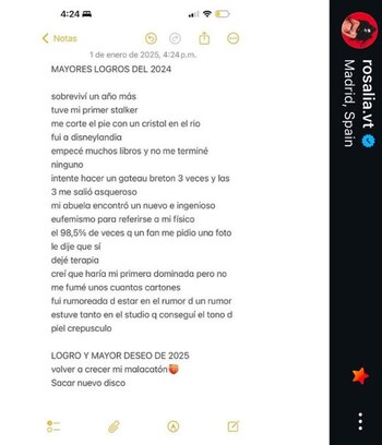 Los logros de 2024 de