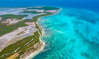 El estudio demostr� que el