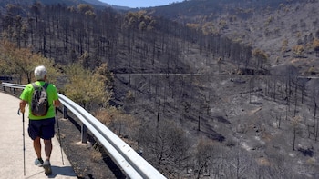 Estabilizado el incendio de Burgohondo (Ávila) tras quince días activos y más de 50.000 hectáreas afectadas