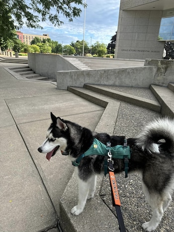 La mujer declaró que su