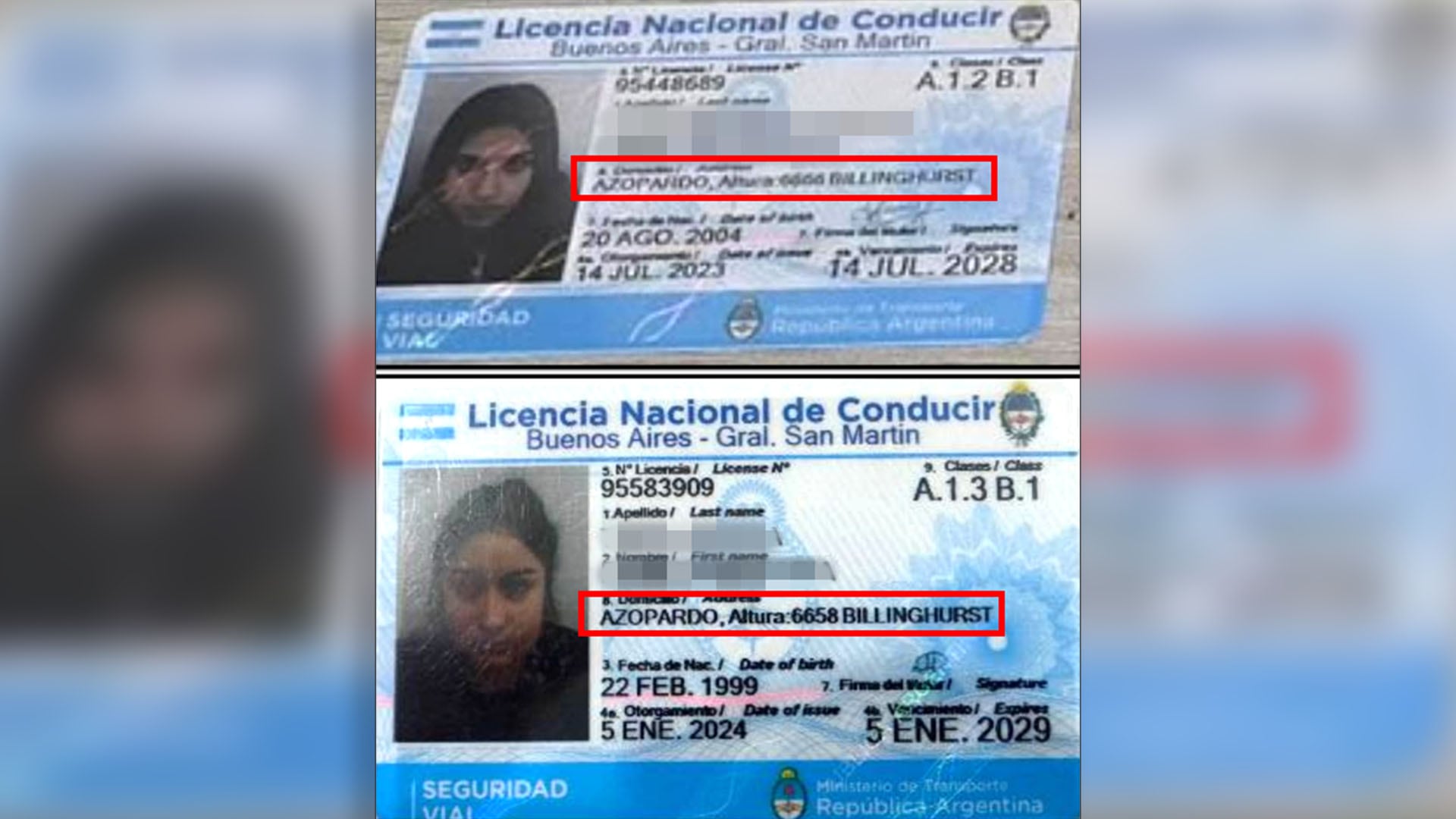 Las licencias de conducir falsas