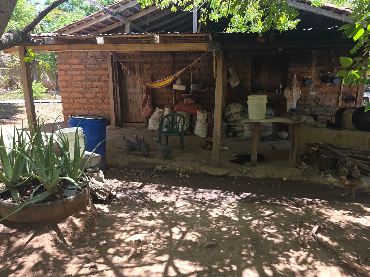 Honduras entre los países centroamericanos más expuestos a El Niño, por la combinación de escasas precipitaciones y temperaturas elevadas que amenaza cultivos, ganado y agua.