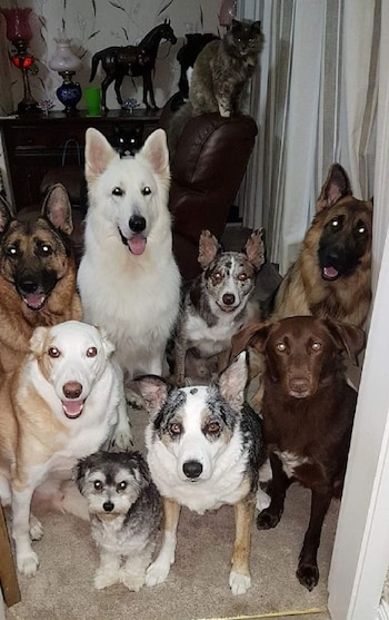 (Foto: Kennedy News and Media)